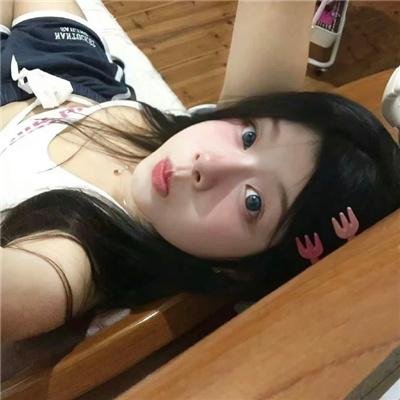 缉凶双宝